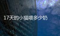 17天的小貓喂多少奶  15天的幼貓一次要吃多少毫升奶