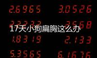 17天小狗扁胸這么辦