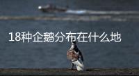 18種企鵝分布在什么地方