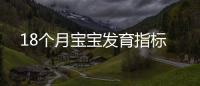 18個月寶寶發育指標