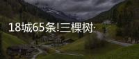 18城65條!三棵樹·大禹九鼎地鐵項目戰報頻傳!