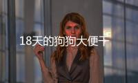 18天的狗狗大便干