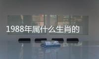 1988年屬什么生肖的人（1988年屬什么生肖的）