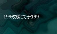 199玫瑰(關于199玫瑰簡述)
