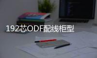 192芯ODF配線柜型號(hào)齊全