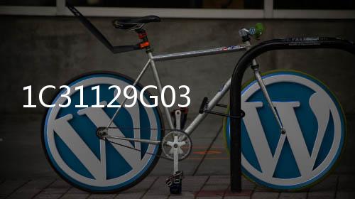 1C31129G03 西屋模塊