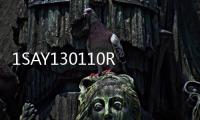 1SAY130110R0100   07SS91C2