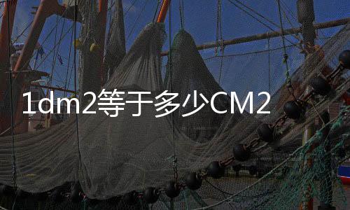 1dm2等于多少CM2（1dm2等于多少cm2）