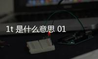 1t 是什么意思 01t是什么意思