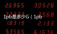 1pb是多少G（1pb 多大）