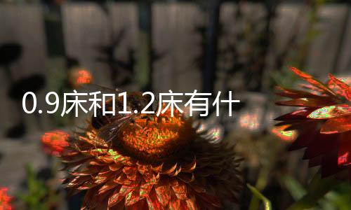 0.9床和1.2床有什么區(qū)別？六個方面全方位對比，教你選對床的尺寸！