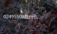 02495508是什么電話號（024 95508）