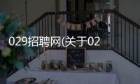 029招聘網(關于029招聘網簡述)