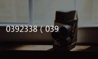 0392338（0392）