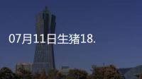 07月11日生豬18.50元/公斤60天上漲24.33%