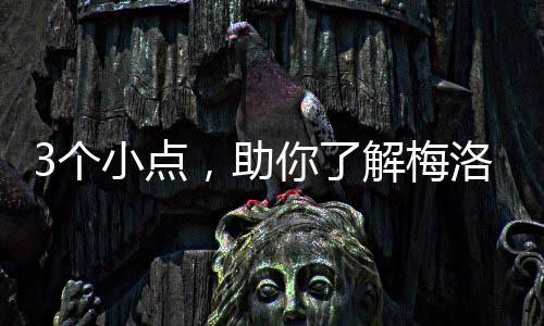 3個小點，助你了解梅洛