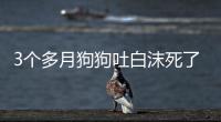 3個多月狗狗吐白沫死了