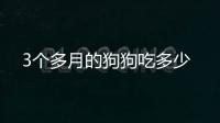 3個(gè)多月的狗狗吃多少