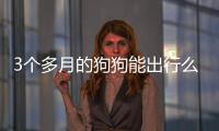 3個多月的狗狗能出行么