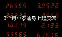 3個月小泰迪身上起皮怎么辦啊圖片？三個月的泰迪身上有味怎么辦