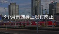 3個月泰迪身上沒有肉正常嗎(泰迪狗不長肉怎么辦)