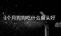 3個(gè)月狗狗吃什么骨頭好呢？3個(gè)月小狗吃骨頭消化嗎