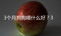 3個月狗狗喂什么好？3個月狗狗喂什么狗糧