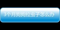 3個月狗狗拉蟲子怎么辦？3個月狗狗拉蟲子正常嗎