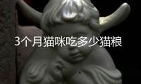 3個月貓咪吃多少貓糧