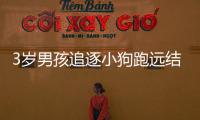 3歲男孩追逐小狗跑遠結果走丟了
