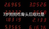 3歲狗狗吃骨頭后嘔吐是怎么回事啊