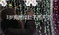 3歲狗狗拉肚子兩天了