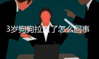 3歲狗狗拉血了怎么回事