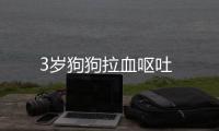 3歲狗狗拉血嘔吐