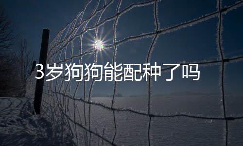 3歲狗狗能配種了嗎
