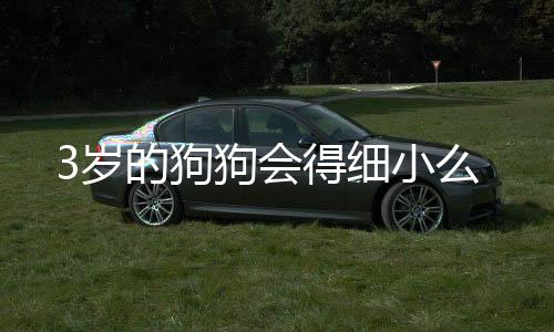 3歲的狗狗會(huì)得細(xì)小么
