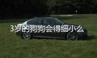 3歲的狗狗會得細(xì)小么
