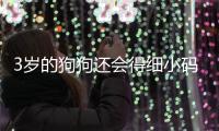 3歲的狗狗還會得細小碼