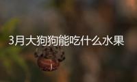 3月大狗狗能吃什么水果好