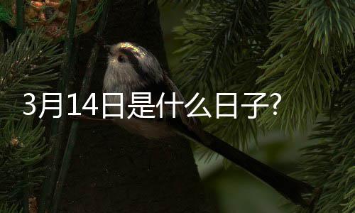 3月14日是什么日子?北京民政局上班嗎?
