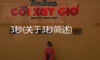 3秒(關于3秒簡述)