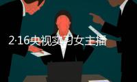 2·16央視實習女主播遇害事件(關于2·16央視實習女主播遇害事件簡述)