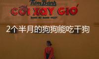 2個半月的狗狗能吃干狗糧嗎