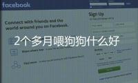 2個多月喂狗狗什么好