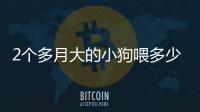 2個多月大的小狗喂多少狗糧