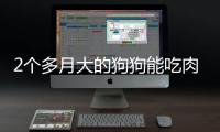 2個多月大的狗狗能吃肉嗎