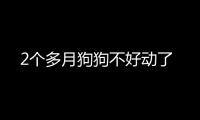 2個多月狗狗不好動了
