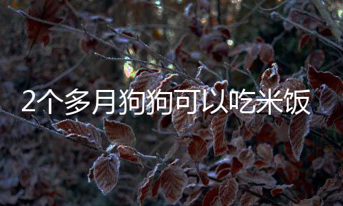 2個多月狗狗可以吃米飯嗎