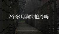 2個多月狗狗怕冷嗎