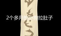 2個(gè)多月的小狗拉肚子